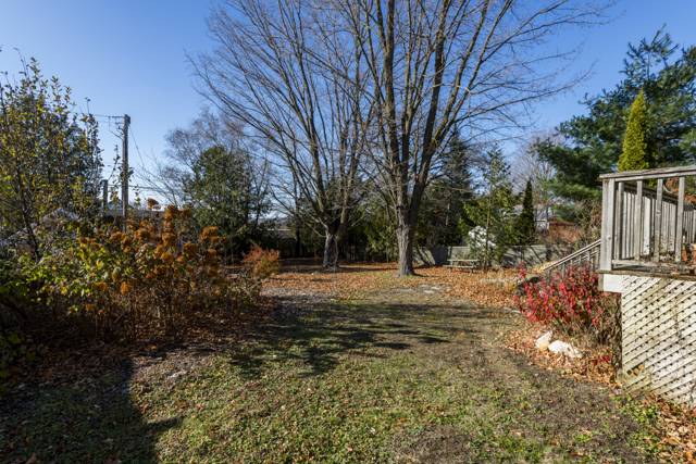 Back yard: Deep lawn with mature maples